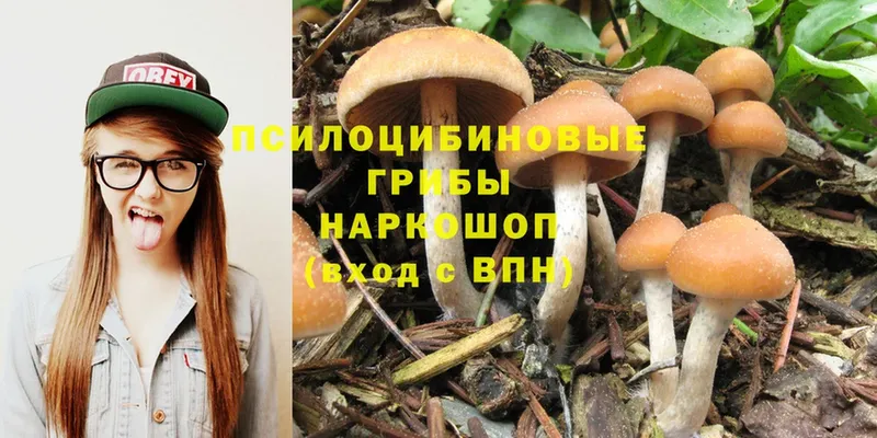 Галлюциногенные грибы Psilocybine cubensis Баксан